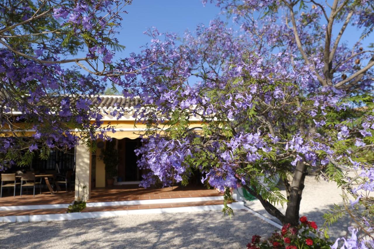 Gordo Bed & Breakfast Riogordo